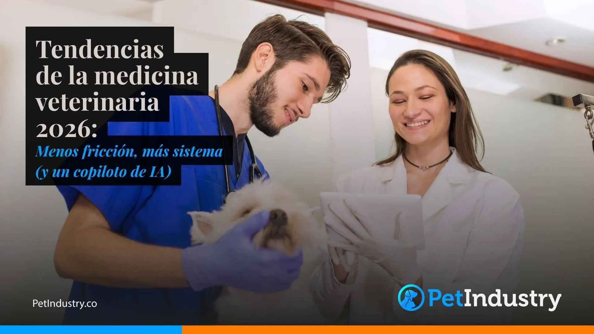 Perro senior tranquilo junto a su dueño en el hogar