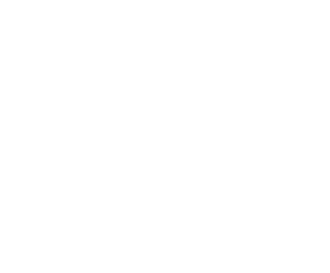 VetPrimeClinic - Logo